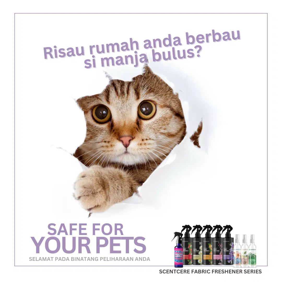 SAKURA FAITH (300ML) - Image 7