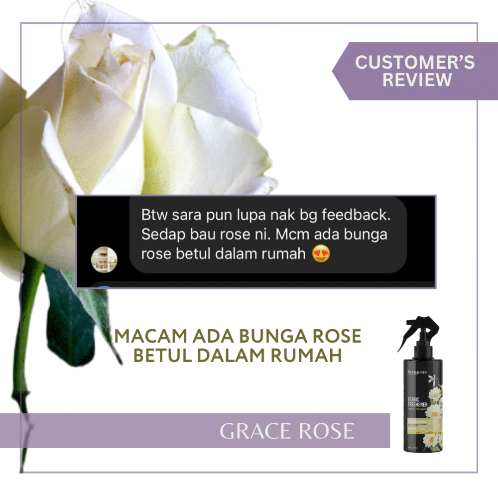 GRACE PRIMROSE (300ML) - Image 10