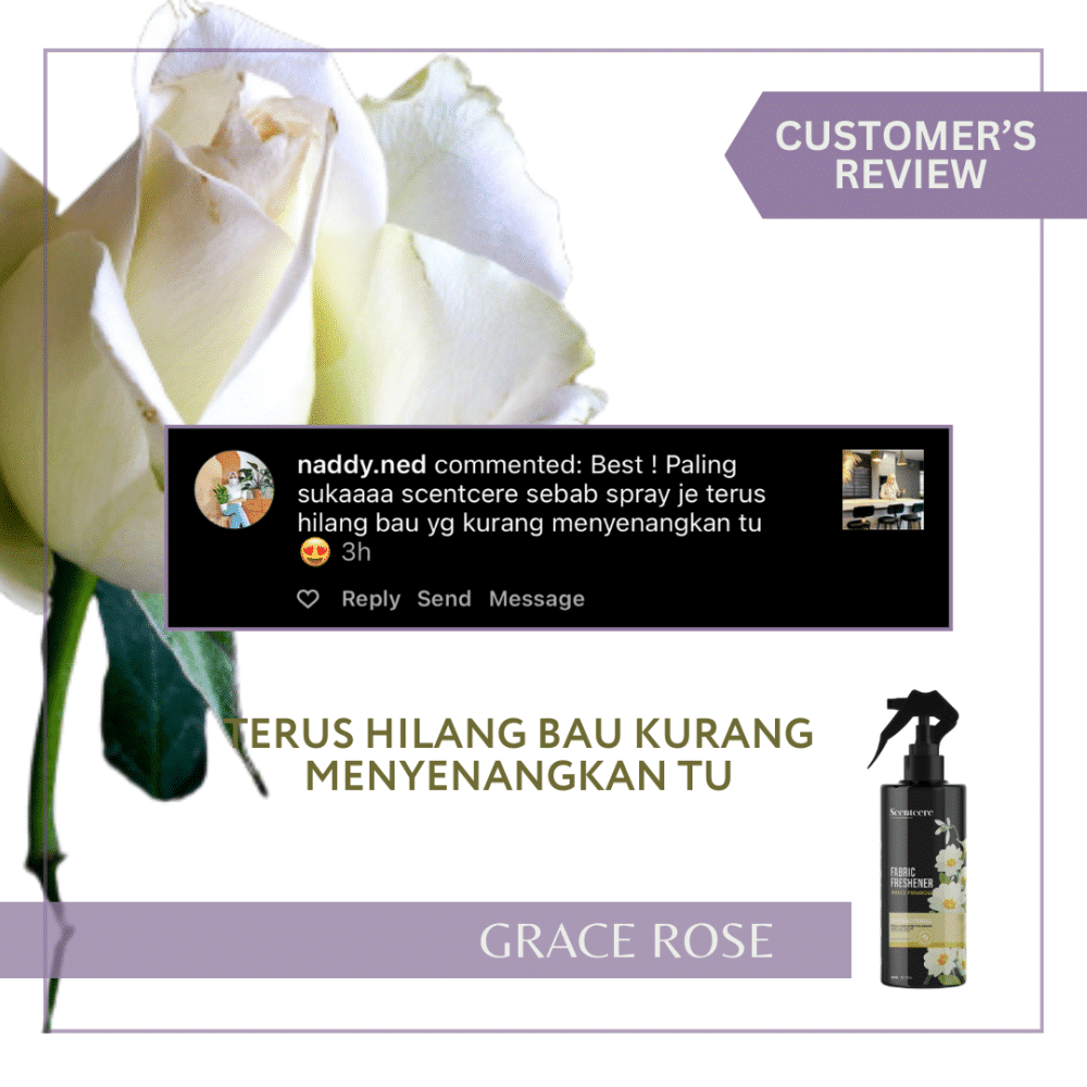 GRACE PRIMROSE (300ML) - Image 12